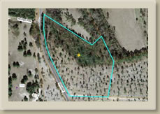 Tract 1 Causey Rd, Lakeview NC 28350
