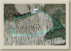 Tract 2 Causey Rd, Lakeview NC 28350