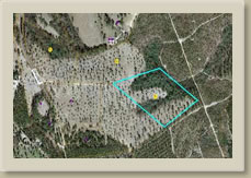 Tract 3 Causey Rd, Lakeview NC 28350